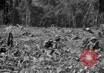 Image of 145th Infantry Regiment Solomon Islands, 1944, second 25 stock footage video 65675046506