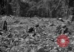 Image of 145th Infantry Regiment Solomon Islands, 1944, second 26 stock footage video 65675046506