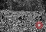 Image of 145th Infantry Regiment Solomon Islands, 1944, second 27 stock footage video 65675046506