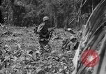 Image of 145th Infantry Regiment Solomon Islands, 1944, second 30 stock footage video 65675046506