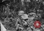 Image of 145th Infantry Regiment Solomon Islands, 1944, second 32 stock footage video 65675046506