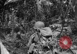 Image of 145th Infantry Regiment Solomon Islands, 1944, second 33 stock footage video 65675046506