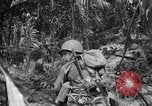 Image of 145th Infantry Regiment Solomon Islands, 1944, second 34 stock footage video 65675046506