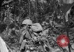 Image of 145th Infantry Regiment Solomon Islands, 1944, second 36 stock footage video 65675046506