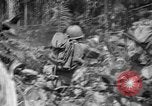 Image of 145th Infantry Regiment Solomon Islands, 1944, second 37 stock footage video 65675046506