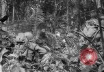 Image of 145th Infantry Regiment Solomon Islands, 1944, second 38 stock footage video 65675046506