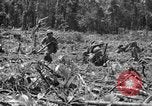 Image of 145th Infantry Regiment Solomon Islands, 1944, second 39 stock footage video 65675046506