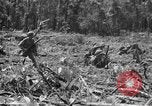 Image of 145th Infantry Regiment Solomon Islands, 1944, second 40 stock footage video 65675046506