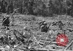 Image of 145th Infantry Regiment Solomon Islands, 1944, second 41 stock footage video 65675046506