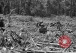 Image of 145th Infantry Regiment Solomon Islands, 1944, second 42 stock footage video 65675046506