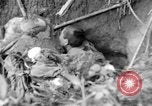 Image of 145th Infantry Regiment Solomon Islands, 1944, second 46 stock footage video 65675046506