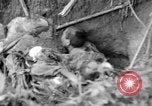 Image of 145th Infantry Regiment Solomon Islands, 1944, second 47 stock footage video 65675046506