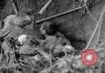 Image of 145th Infantry Regiment Solomon Islands, 1944, second 53 stock footage video 65675046506