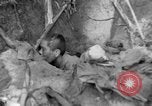 Image of 145th Infantry Regiment Solomon Islands, 1944, second 54 stock footage video 65675046506