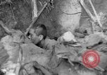 Image of 145th Infantry Regiment Solomon Islands, 1944, second 55 stock footage video 65675046506