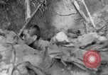 Image of 145th Infantry Regiment Solomon Islands, 1944, second 57 stock footage video 65675046506