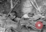 Image of 145th Infantry Regiment Solomon Islands, 1944, second 58 stock footage video 65675046506