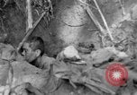 Image of 145th Infantry Regiment Solomon Islands, 1944, second 62 stock footage video 65675046506