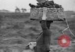 Standbild Ausbruch des Vesuv Italien, 1944, aus Sekunde 34 historischem Filmmaterial Videoclip 65675046507