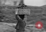 Standbild Ausbruch des Vesuv Italien, 1944, aus Sekunde 36 historischem Filmmaterial Videoclip 65675046507