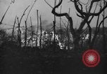 Immagine di Eruzione del Vesuvio Italia, 1944, secondo 15 filmato di repertorio 65675046509