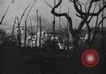 Immagine di Eruzione del Vesuvio Italia, 1944, secondo 16 filmato di repertorio 65675046509