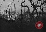 Immagine di Eruzione del Vesuvio Italia, 1944, secondo 22 filmato di repertorio 65675046509