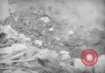 Immagine di Eruzione del Vesuvio Italia, 1944, secondo 43 filmato di repertorio 65675046510