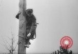 Image of Yalta Conference Crimea Ukraine, 1945, second 62 stock footage video 65675046519