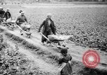 Image of Japanese farmers Japan, 1944, second 14 stock footage video 65675046524