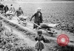 Image of Japanese farmers Japan, 1944, second 15 stock footage video 65675046524