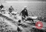 Image of Japanese farmers Japan, 1944, second 16 stock footage video 65675046524