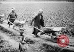 Image of Japanese farmers Japan, 1944, second 17 stock footage video 65675046524