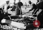 Image of Japanese farmers Japan, 1944, second 40 stock footage video 65675046524