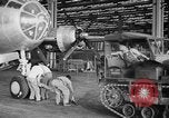 Immagine di B-29 aeromobile in volo United States USA, 1944, secondo 15 filmato di repertorio 65675046526