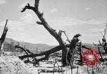 Immagine di La Bomba atomica danno in Hiroshima Hiroshima Giappone, 1945, secondo 5 filmato di repertorio 65675046528