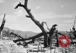 Immagine di La Bomba atomica danno in Hiroshima Hiroshima Giappone, 1945, secondo 6 filmato di repertorio 65675046528