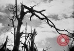 Immagine di La Bomba atomica danno in Hiroshima Hiroshima Giappone, 1945, secondo 8 filmato di repertorio 65675046528
