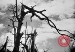 Immagine di La Bomba atomica danno in Hiroshima Hiroshima Giappone, 1945, secondo 9 filmato di repertorio 65675046528