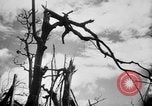 Immagine di La Bomba atomica danno in Hiroshima Hiroshima Giappone, 1945, secondo 10 filmato di repertorio 65675046528