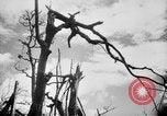 Immagine di La Bomba atomica danno in Hiroshima Hiroshima Giappone, 1945, secondo 11 filmato di repertorio 65675046528