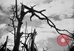 Immagine di La Bomba atomica danno in Hiroshima Hiroshima Giappone, 1945, secondo 12 filmato di repertorio 65675046528