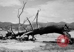 Immagine di La Bomba atomica danno in Hiroshima Hiroshima Giappone, 1945, secondo 13 filmato di repertorio 65675046528