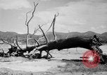 Immagine di La Bomba atomica danno in Hiroshima Hiroshima Giappone, 1945, secondo 14 filmato di repertorio 65675046528