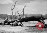 Immagine di La Bomba atomica danno in Hiroshima Hiroshima Giappone, 1945, secondo 16 filmato di repertorio 65675046528