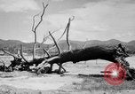 Immagine di La Bomba atomica danno in Hiroshima Hiroshima Giappone, 1945, secondo 17 filmato di repertorio 65675046528