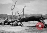 Immagine di La Bomba atomica danno in Hiroshima Hiroshima Giappone, 1945, secondo 18 filmato di repertorio 65675046528