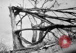 Immagine di La Bomba atomica danno in Hiroshima Hiroshima Giappone, 1945, secondo 19 filmato di repertorio 65675046528
