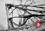 Immagine di La Bomba atomica danno in Hiroshima Hiroshima Giappone, 1945, secondo 20 filmato di repertorio 65675046528