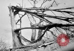 Immagine di La Bomba atomica danno in Hiroshima Hiroshima Giappone, 1945, secondo 22 filmato di repertorio 65675046528